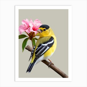 Goldfinch 4 Art Print