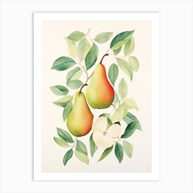 Pears And Apples Art Print