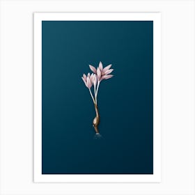 Vintage Autumn Crocus Botanical Art on Teal Blue n.0479 Art Print