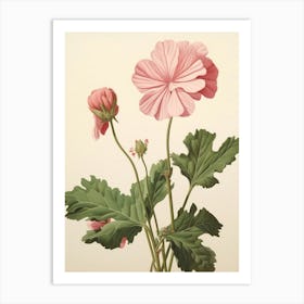 Floral Illustration Geranium 2 Art Print