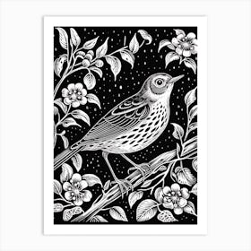 B&W Bird Linocut Hermit Thrush 1 Art Print