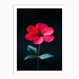 Single Red Flower 9 Art Print