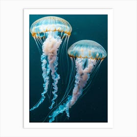 Jellyfishes 3 Art Print