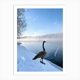 Canadian Goose Tranquil Stance Beside A Frozen Lakes Edge Winter Landscape Background Snow Clad Art Print