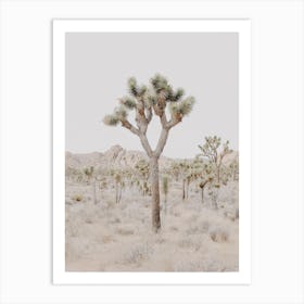 Joshua Tree California Art Print