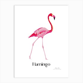 Flamingo. Long, thin legs. Pink or bright red color. Black feathers on the tips of its wings.2 Art Print