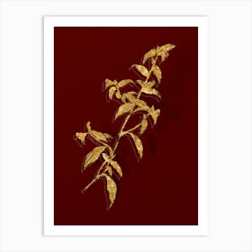Vintage Birdbill Dayflower Botanical in Gold on Red n.0562 Art Print