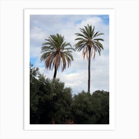 Palms Nature Tree Photography Realistic italy italia italian photo photography art travel Art Print