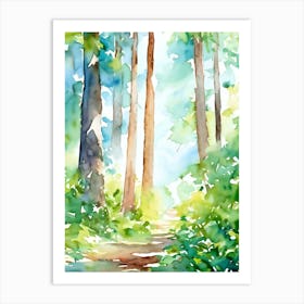 Watercolor Of A Forest Path 1 Art Print