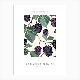 Blackberries Le Marche Fermier Poster 1 Art Print