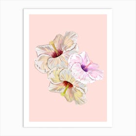 Lovely Hibiscus Art Print