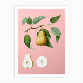 Vintage Pear Botanical on Soft Pink n.0261 Art Print