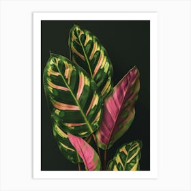 Tropical Leaves 173 Art Print