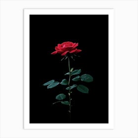 Single Red Rose 19 Art Print