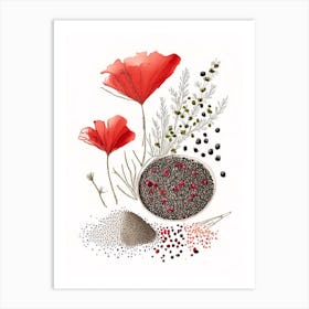 Poppy Seeds Spices And Herbs Pencil Illustration 5 Art Print