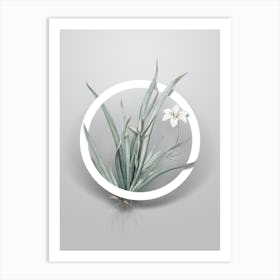 Vintage Fortnight Lily Minimalist Botanical Geometric Circle on Soft Gray n.0237 Art Print