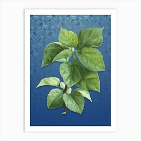 Vintage White Mulberry Plant Botanical on Bahama Blue Pattern n.2294 Art Print