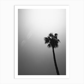 Palm Tree Print 1 Art Print