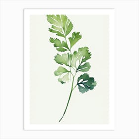 Cilantro Leaf Minimalist Watercolour 1 Art Print