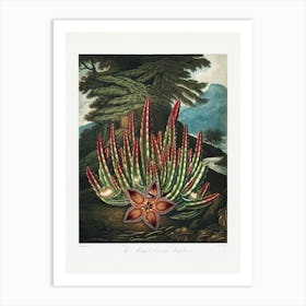 Vintage Botanical Temple Of Flora _2476834 Art Print