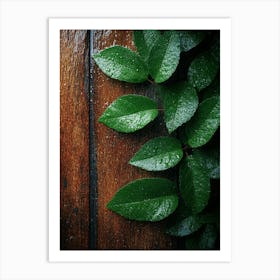 Green Leaves On A Wooden Background 1 Art Print