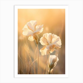 Boho Dried Flowers Evening Primrose 1 Art Print