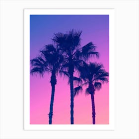 Sunset Palm Trees 3 Art Print