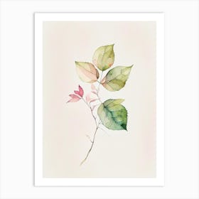 Wild Rose Leaf Minimalist Watercolour 1 Art Print