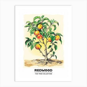Redwood Tree Storybook Illustration 3 Poster Art Print