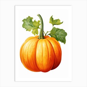 Long Island Cheese Pumpkin Watercolour Illustration 4 Art Print