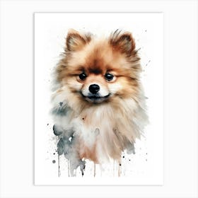 Pomeranian Dog Art Print