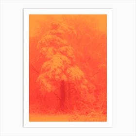 Orange Tree In The Snow Art Print