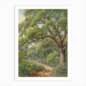 Path Through The Woods 1 Art Print