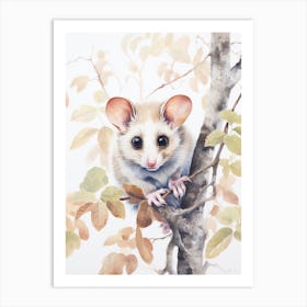Light Watercolor Painting Of A Leadbeaters Possum 3 Art Print
