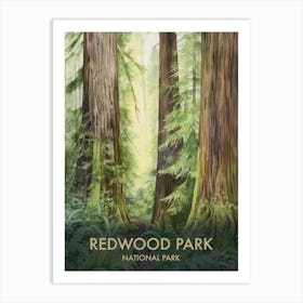Redwood National Park Watercolour Vintage Travel Poster 3 Art Print