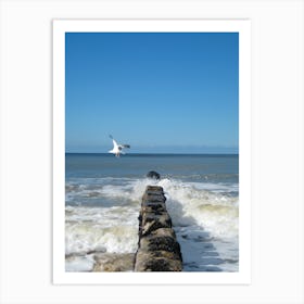 Seagull On Pier Art Print