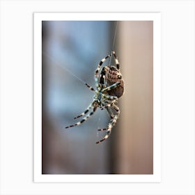 Garden Spider Web (2015) Art Print