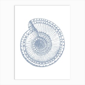 Nautilus Shell 8 Art Print