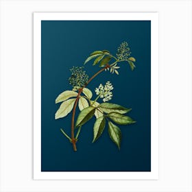 Vintage Red Elderberry Botanical Art on Teal Blue Art Print