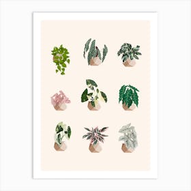 Plants Collection 2 Art Print