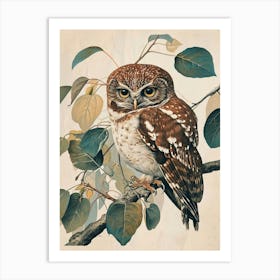 Northern Pygmy Owl Vintage Illustration 1 Art Print