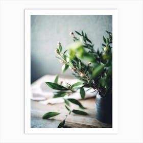 Ruscus Still Life On Table Art Print