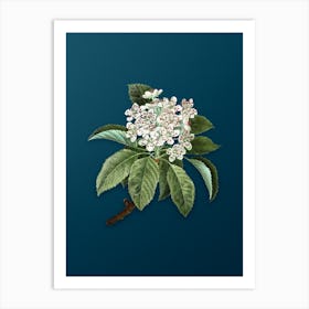 Vintage Shipova Botanical Art on Teal Blue n.0309 Art Print