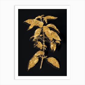 Vintage Chilean Wineberry Branch Botanical in Gold on Black n.0030 Art Print