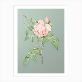 Vintage Fragrant Rosebush Botanical Art on Mint Green n.0857 Art Print