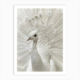 white Peacock Art Print