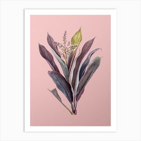 Vintage Cordyline Fruticosa Botanical on Soft Pink n.0956 Art Print