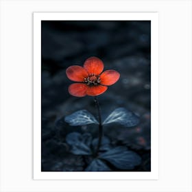 Red Flower 8 Art Print