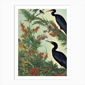 Cormorant 2 Haeckel Style Vintage Illustration Bird Art Print