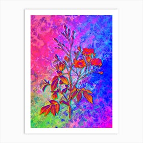 Pink Noisette Roses Botanical in Acid Neon Pink Green and Blue Art Print